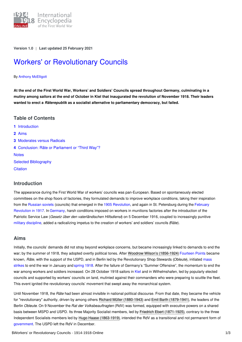 Workers' Or Revolutionary Councils | International Encyclopedia of The