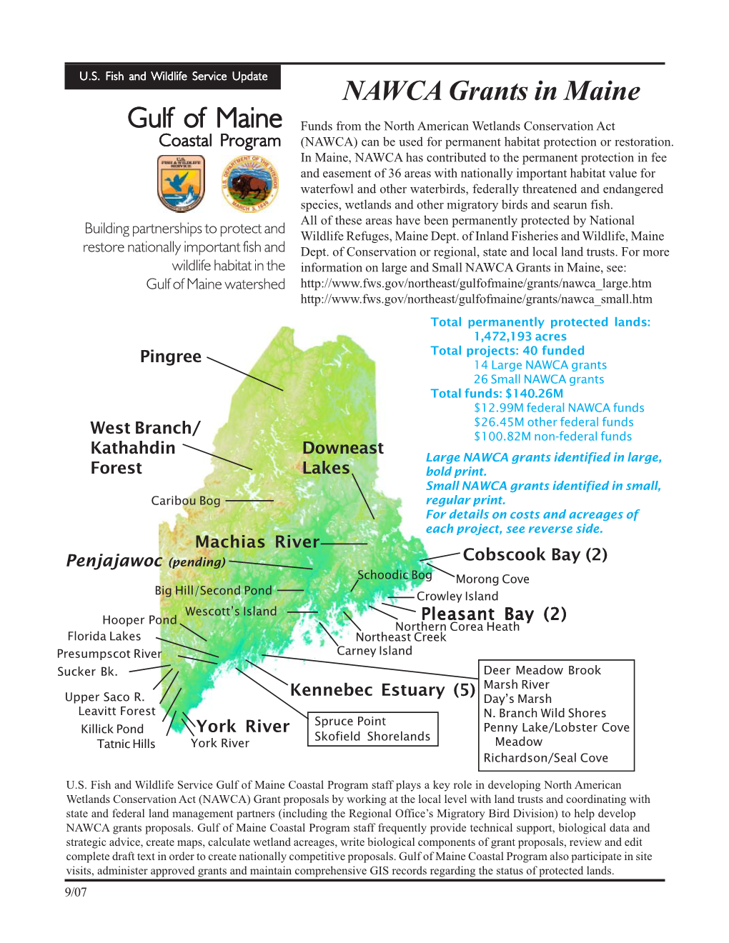 Nawca in Me Summary 07.Pmd