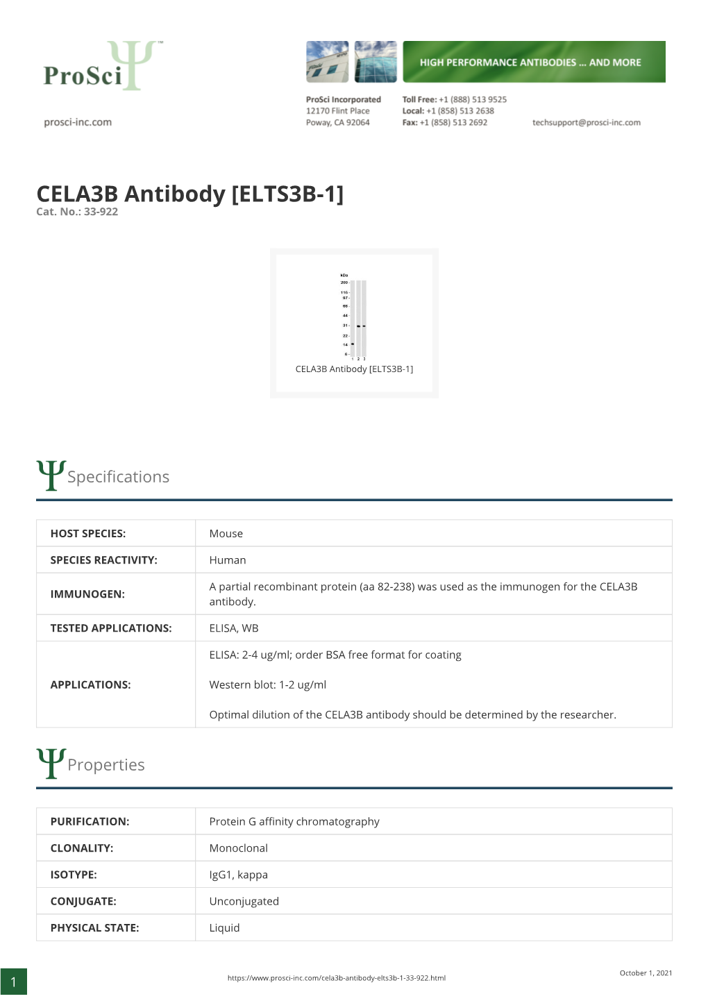 CELA3B Antibody [ELTS3B-1] Cat