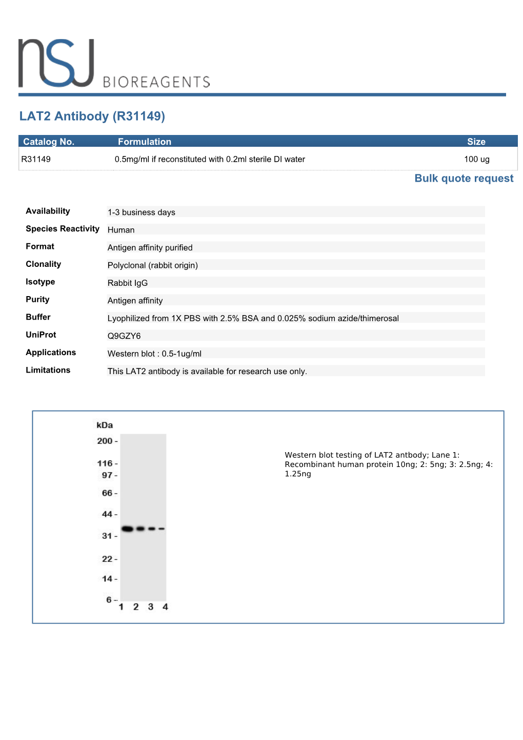 LAT2 Antibody (R31149)