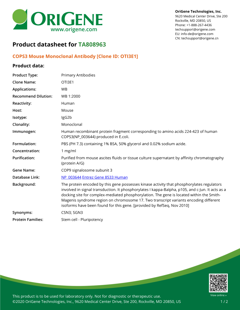 COPS3 Mouse Monoclonal Antibody [Clone ID: OTI3E1] – TA808963