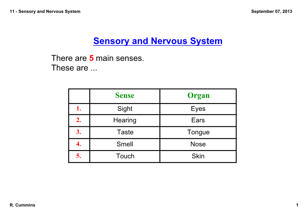 Sensory and Nervous System September 07, 2013