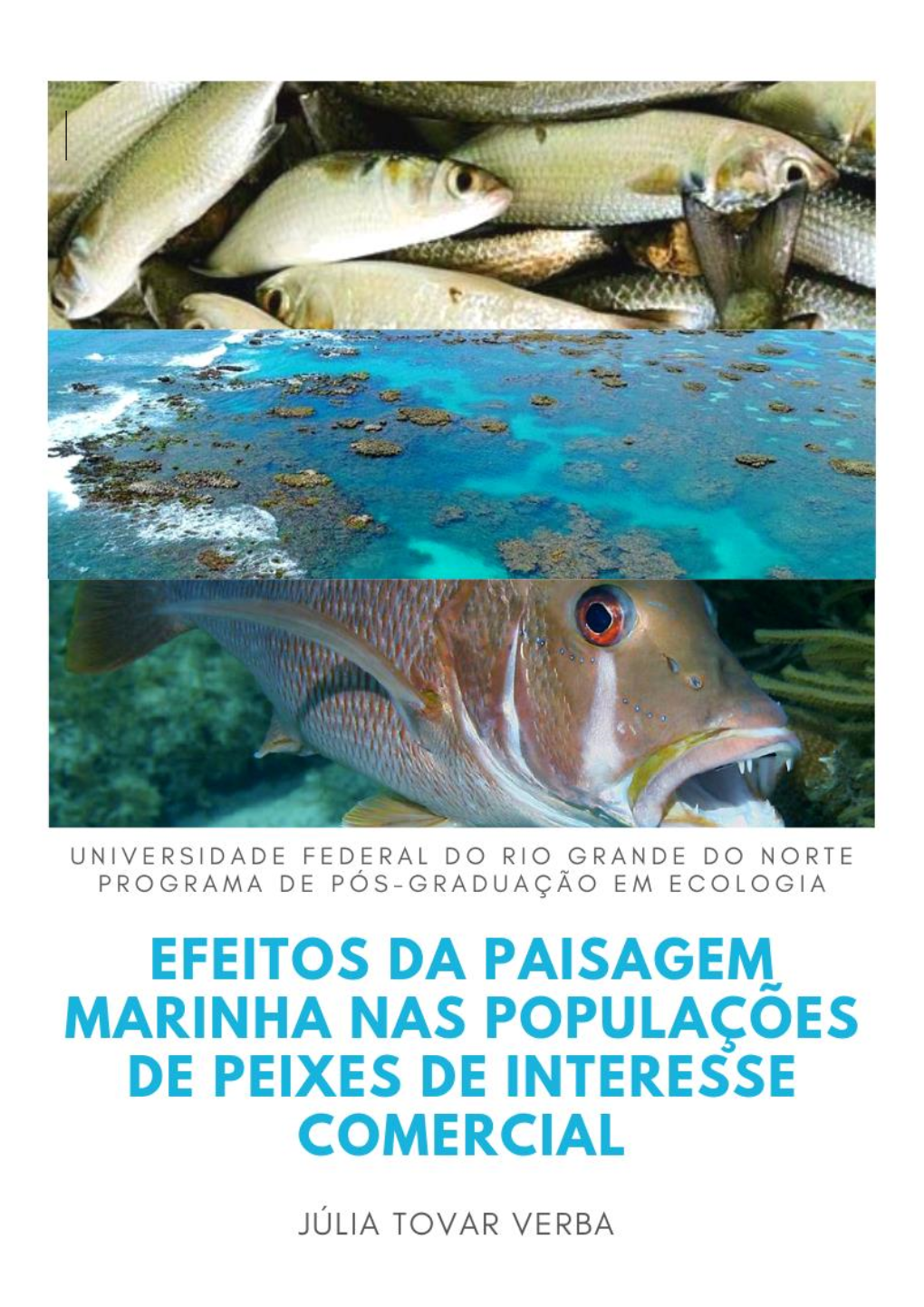 Efeitos Da Paisagem Marinha Nas Populações