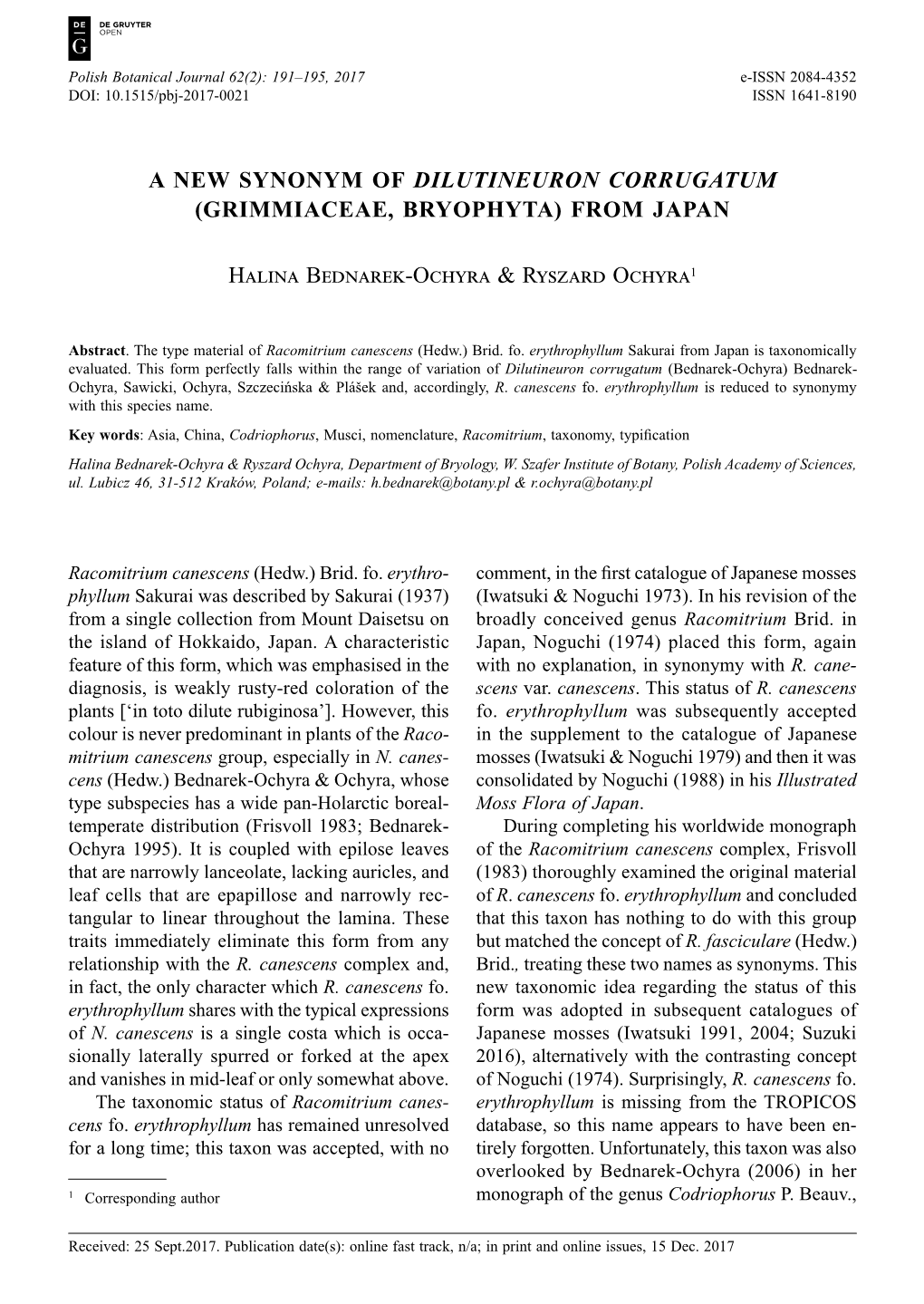 A New Synonym of Dilutineuron Corrugatum (Grimmiaceae, Bryophyta) from Japan