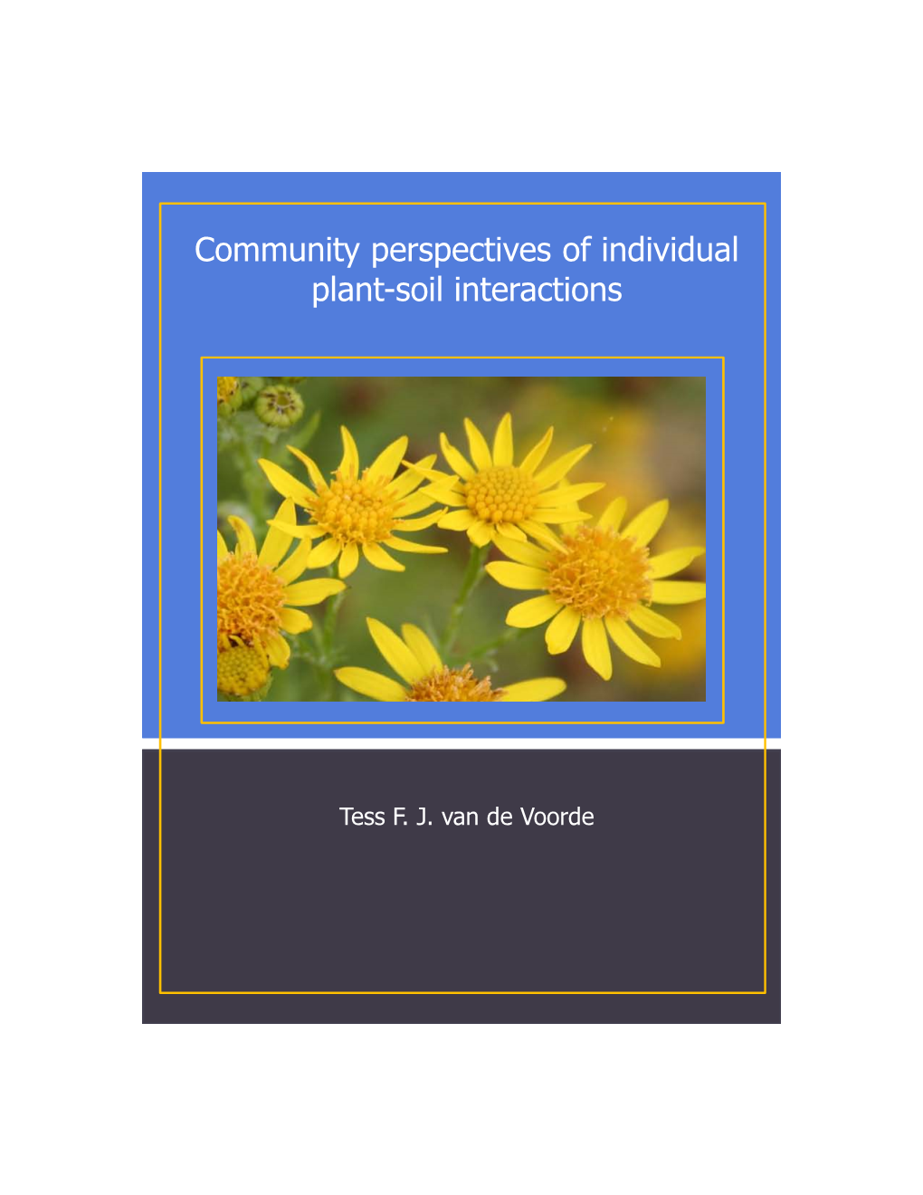 Community Perspectives of Individual Plant-Soil Interactions