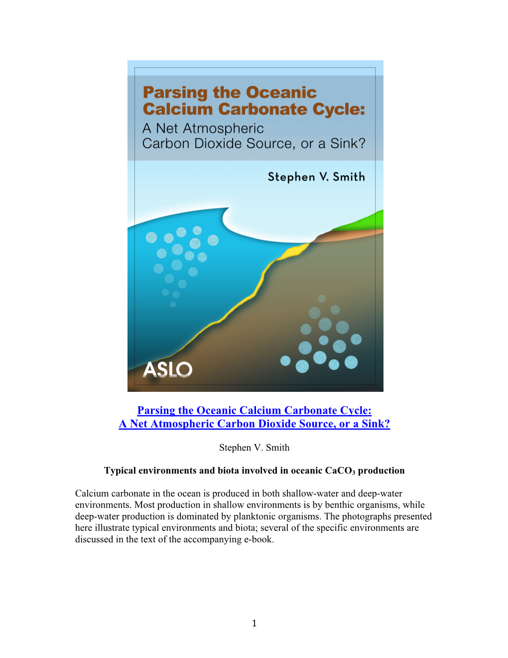 Parsing the Oceanic Calcium Carbonate Cycle: a Net Atmospheric Carbon Dioxide Source, Or a Sink?