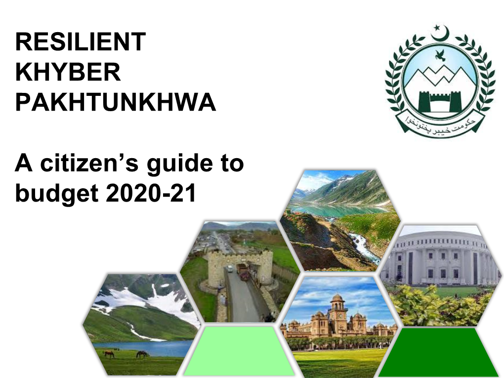 Citizen-Budget-2020-21.Pdf