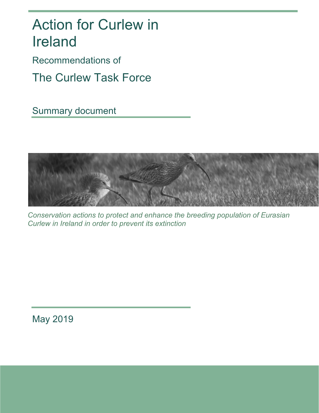 Curlew Task Force