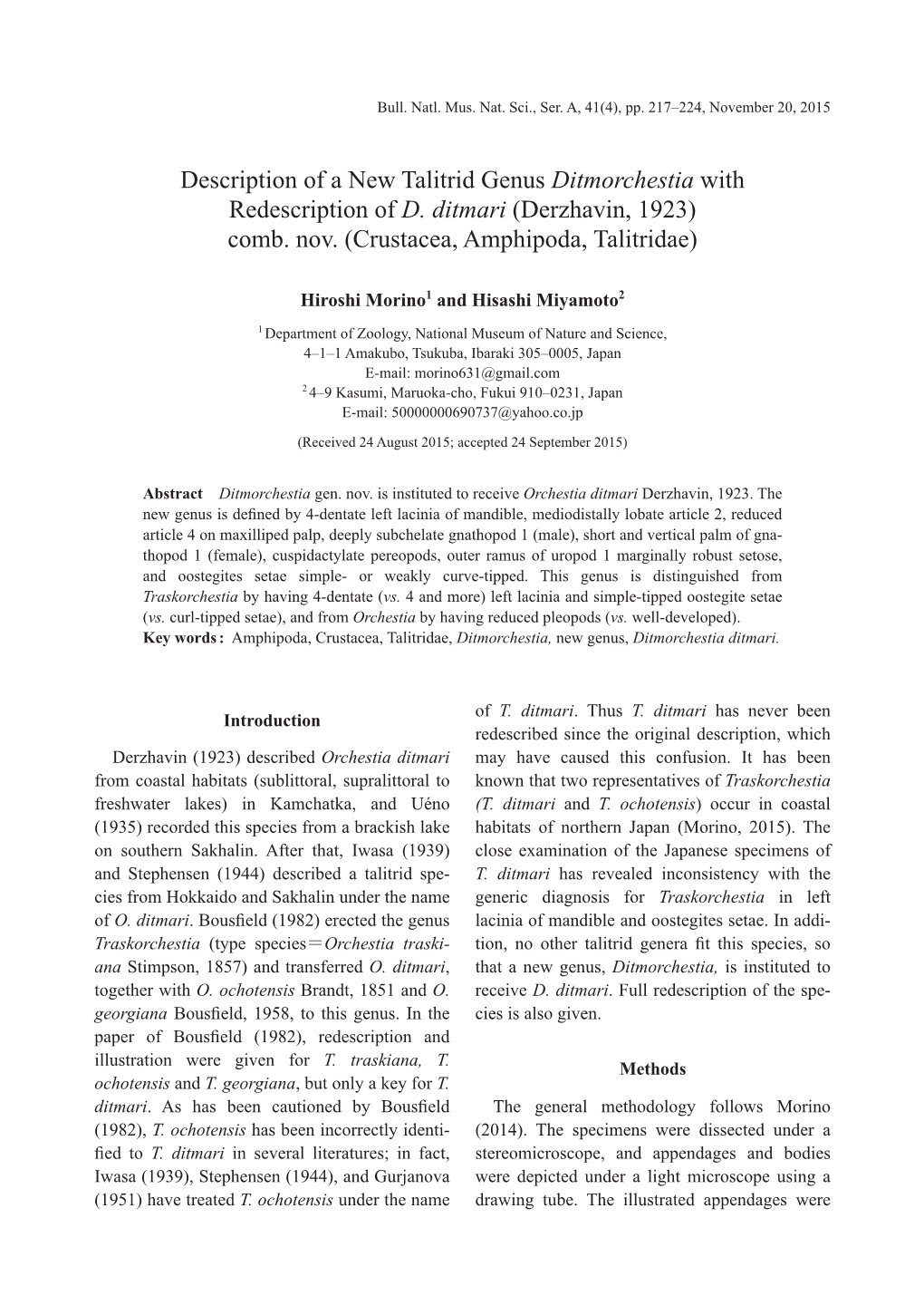 Description of a New Talitrid Genus Ditmorchestia with Redescription of D