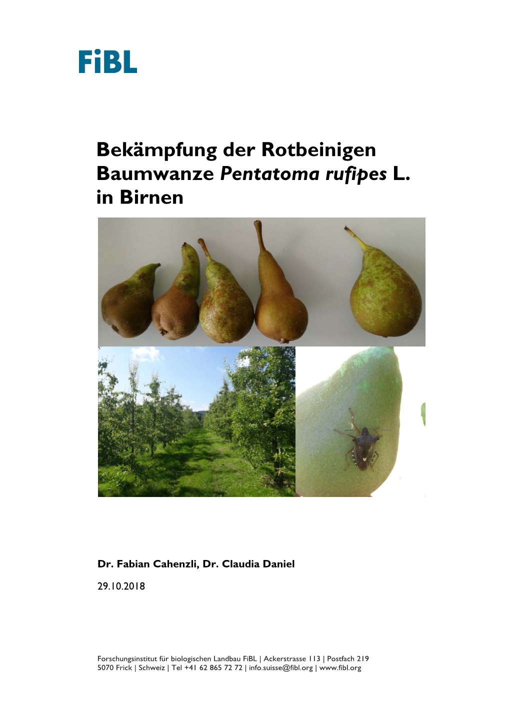 Bekämpfung Der Rotbeinigen Baumwanze Pentatoma Rufipes L