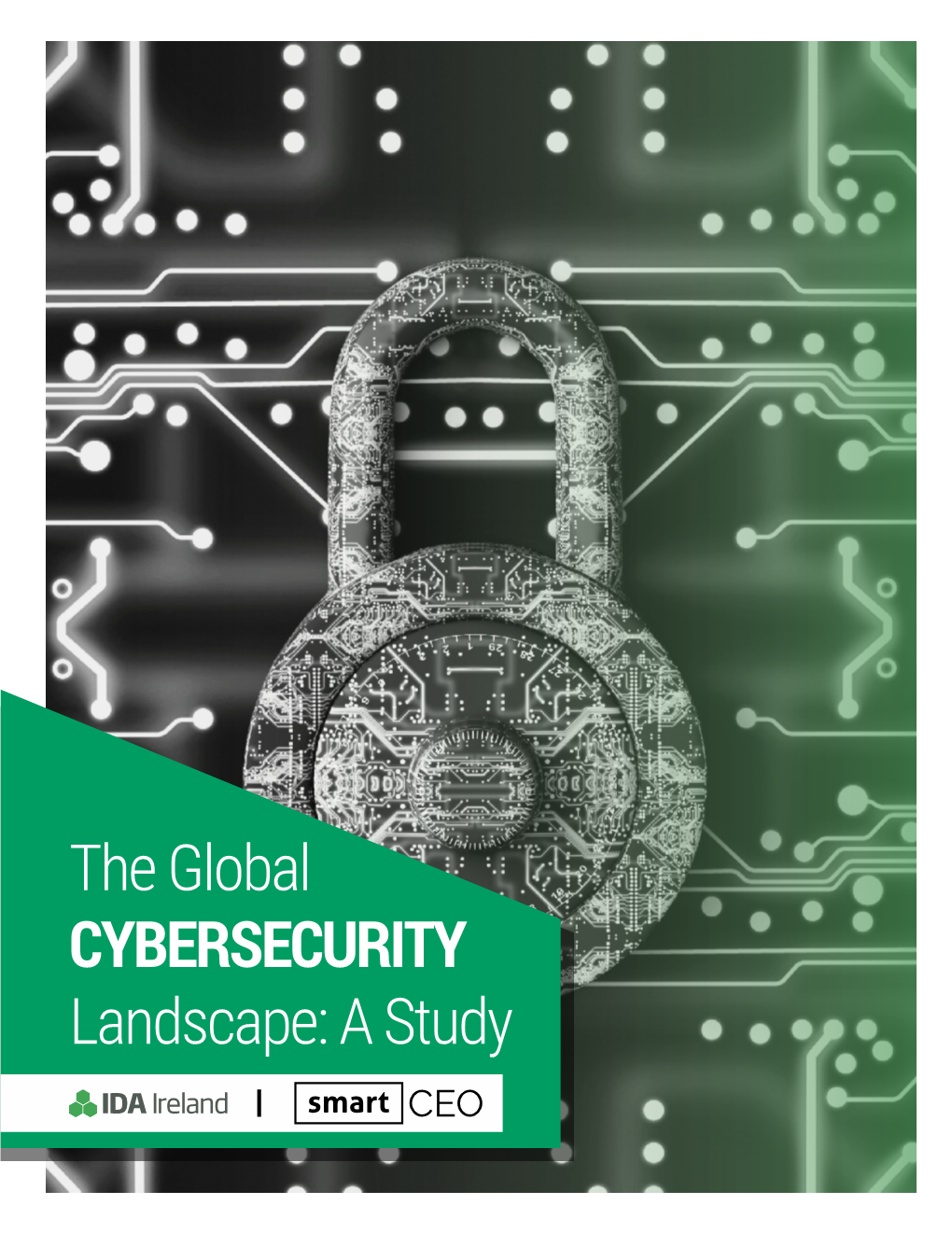 The Global CYBERSECURITY Landscape: a Study