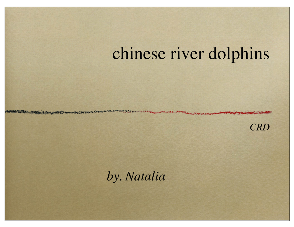 Chinese River Dolphins