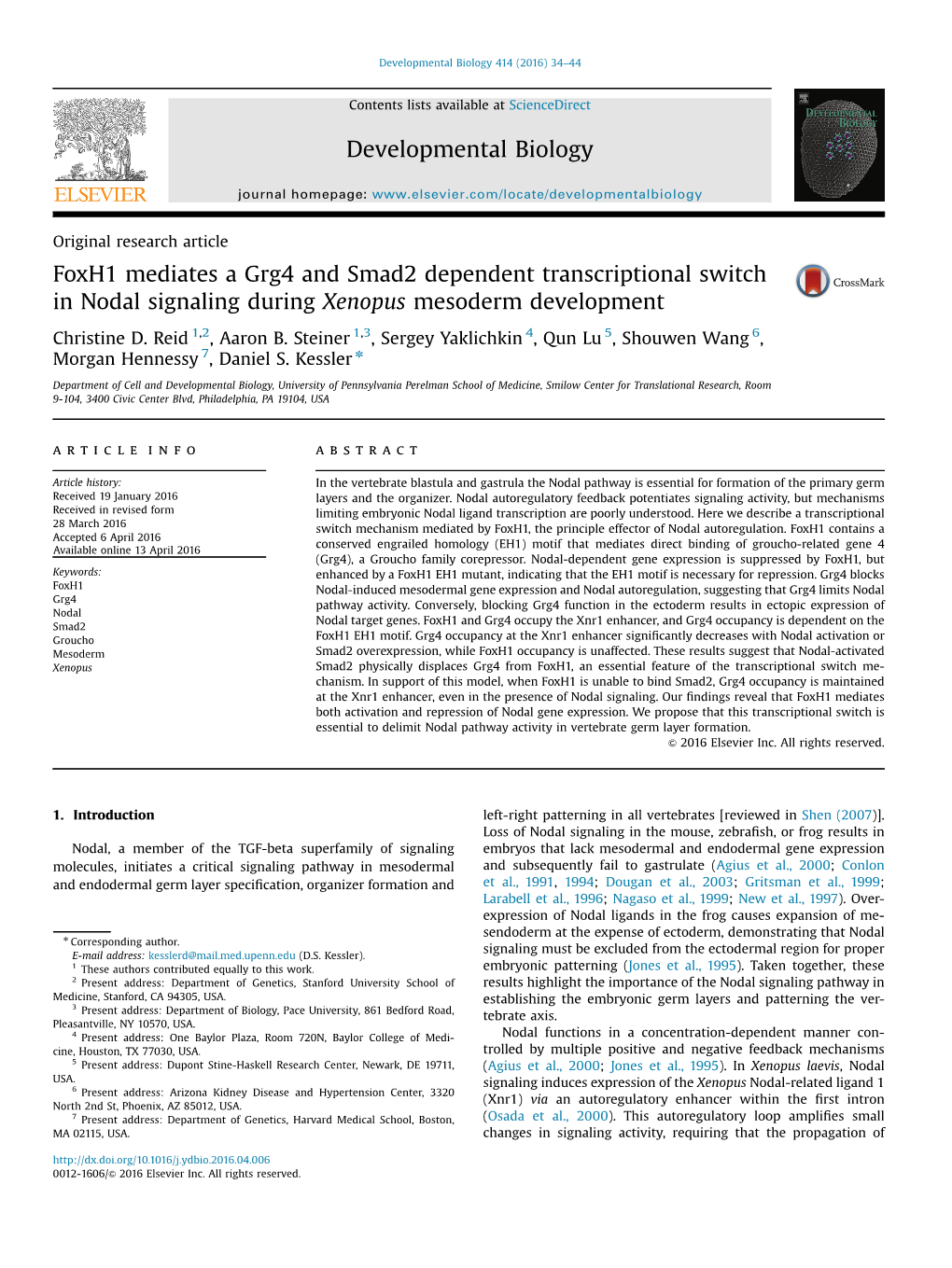 Foxh1 Mediates a Grg4 and Smad2 Dependent Transcriptional Switch in Nodal Signaling During Xenopus Mesoderm Development