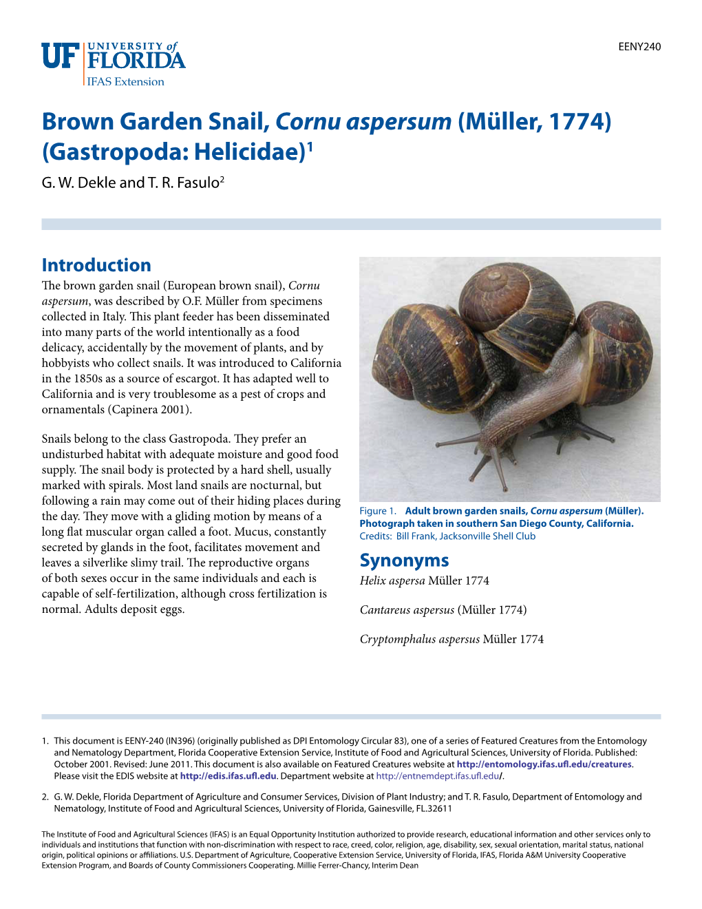 Brown Garden Snail, Cornu Aspersum (Müller, 1774) (Gastropoda: Helicidae)1 G