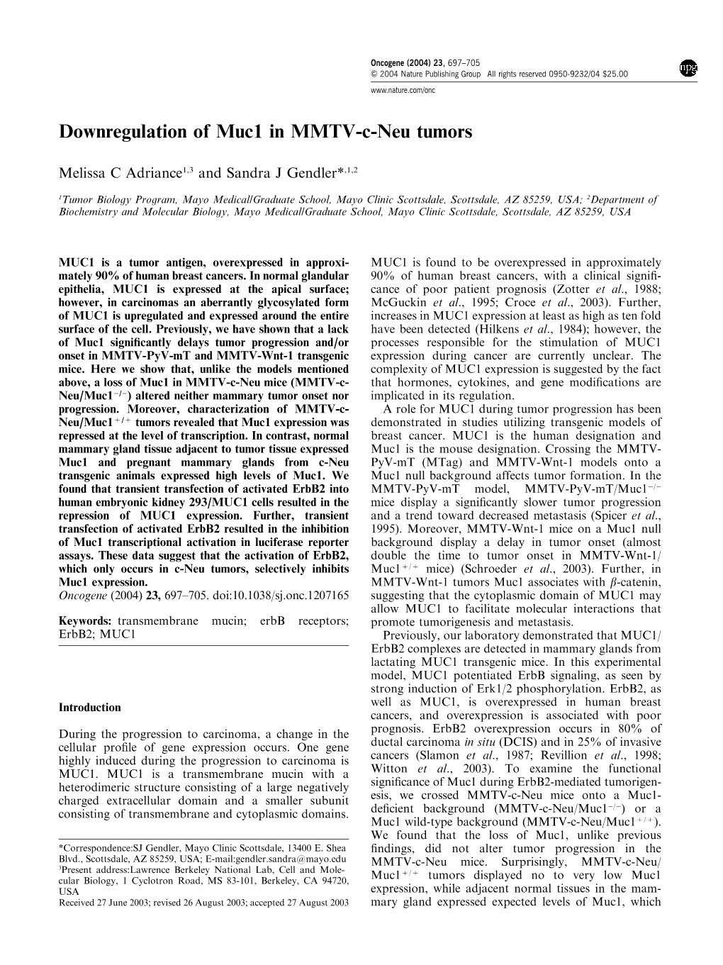 Downregulation of Muc1 in MMTV-C-Neu Tumors