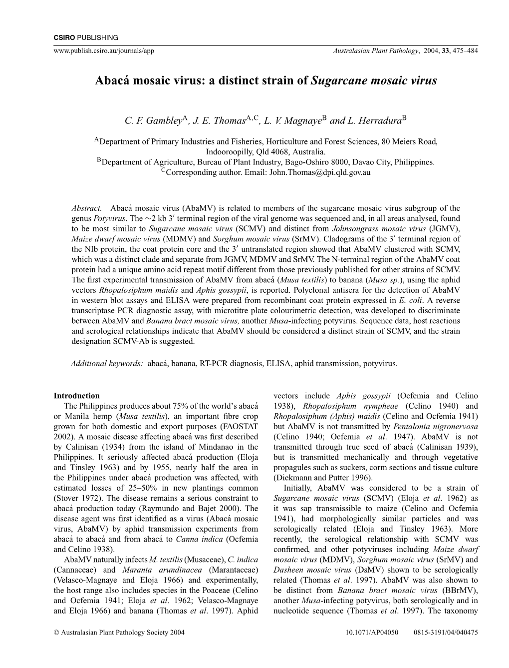 Abacá Mosaic Virus: a Distinct Strain of Sugarcane Mosaic Virus