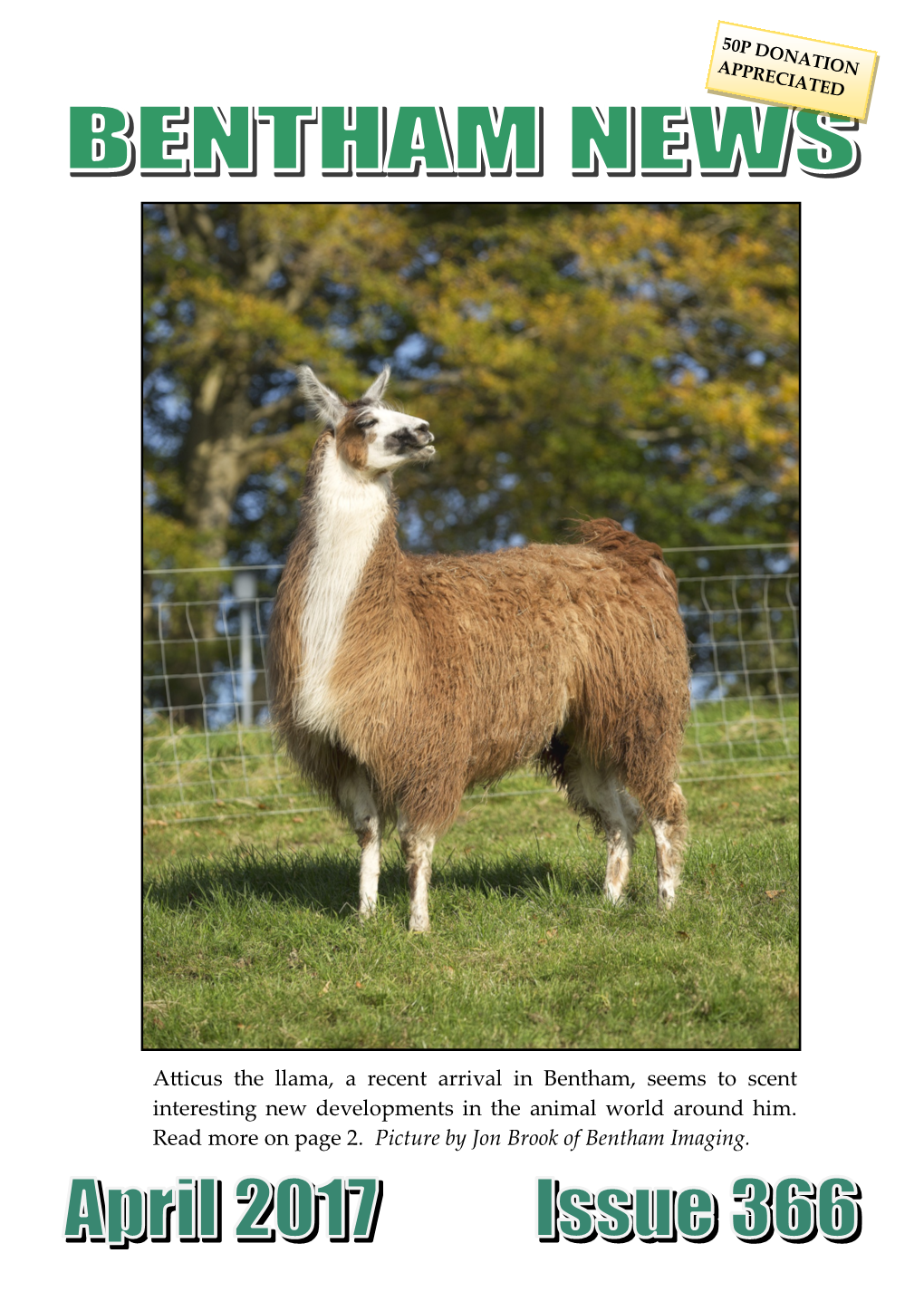 Atticus the Llama, a Recent Arrival in Bentham, Seems to Scent Interesting New Developments in the Animal World Around Him