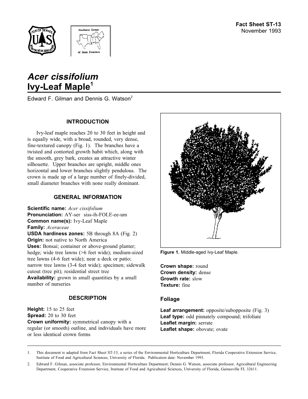 Acer Cissifolium Ivy-Leaf Maple1 Edward F