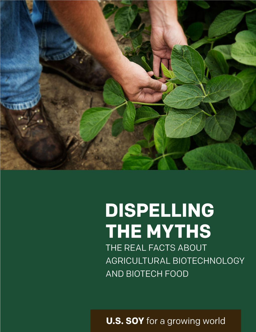 Dispelling the Myths the Real Facts About Agricultural Biotechnology and Biotech Food