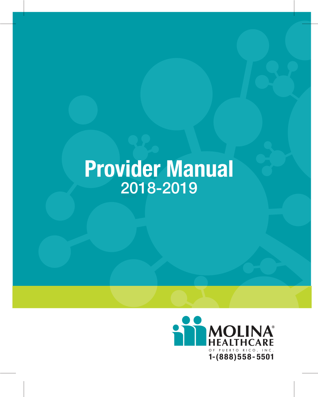 Provider Manual (Version 4.3)