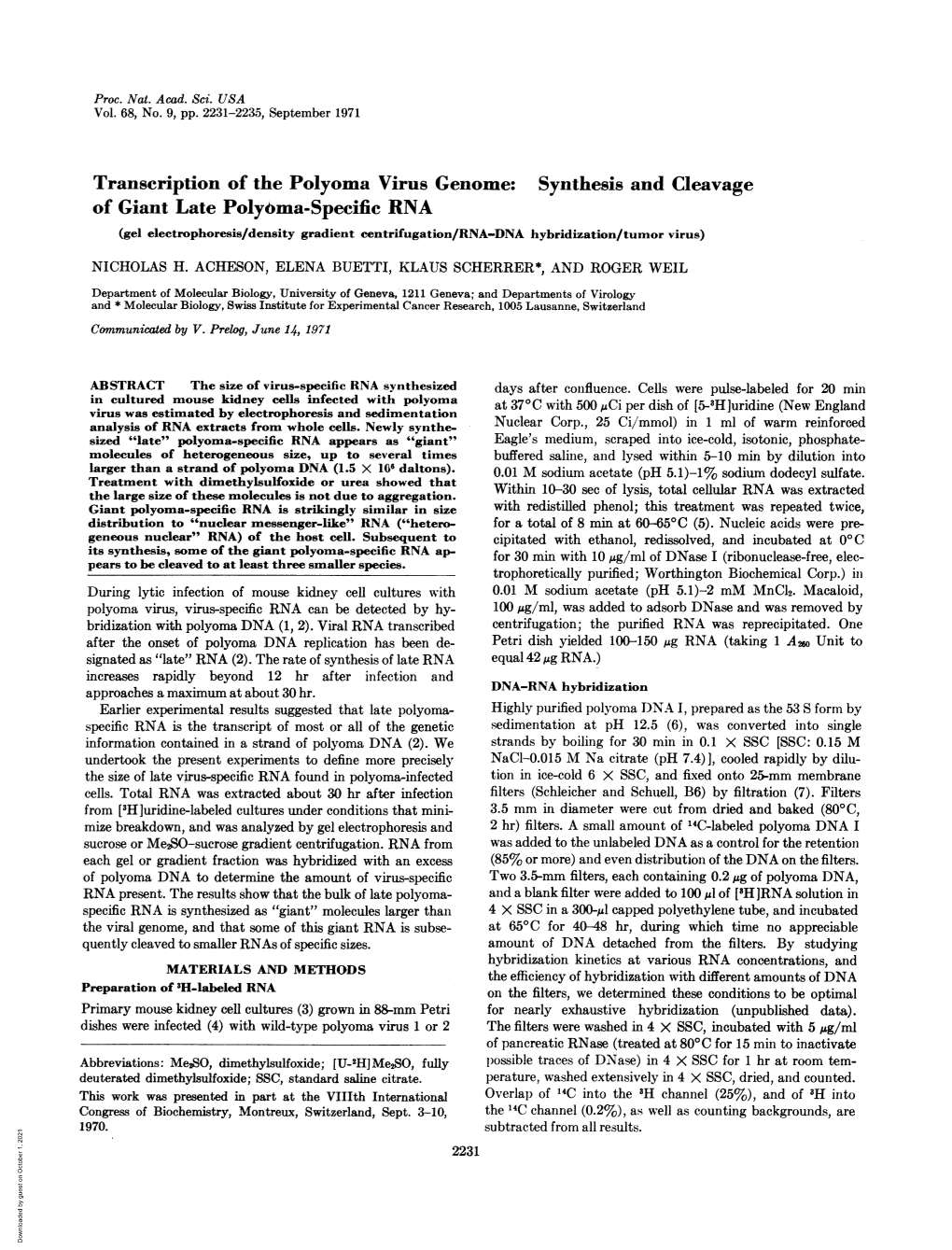 Of Giant Late Polybma-Specific RNA (Gel Electrophoresis/Density Gradient Centrifugation/RNA-DNA Hybridization/Tumor Virus)