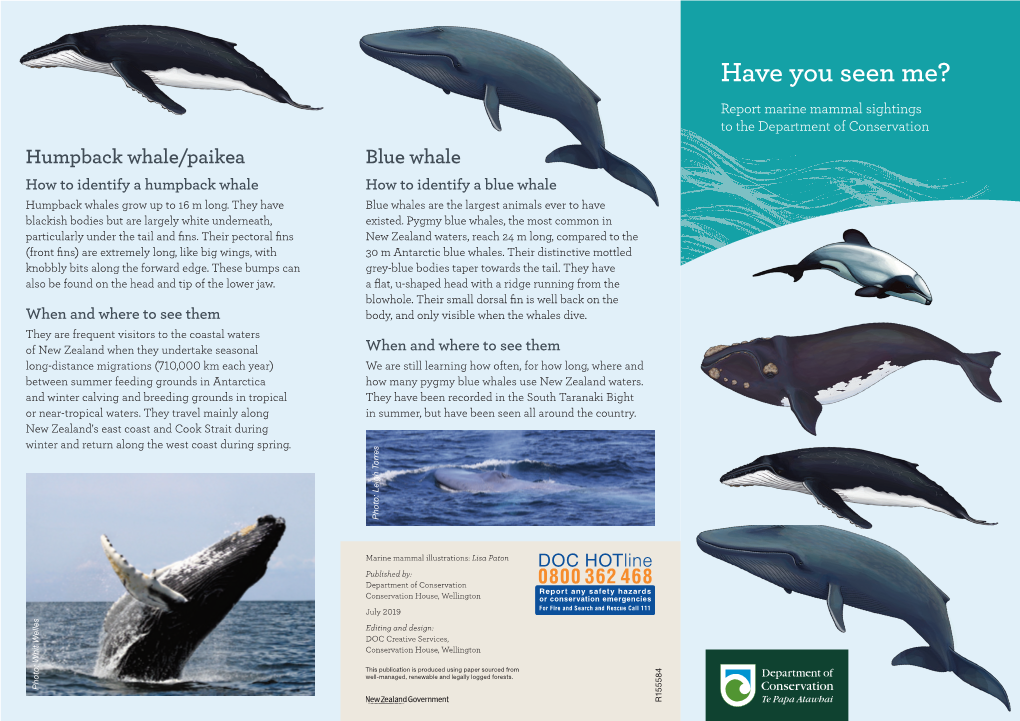 Have You Seen Me? Report Marine Mammal Sightings to The
