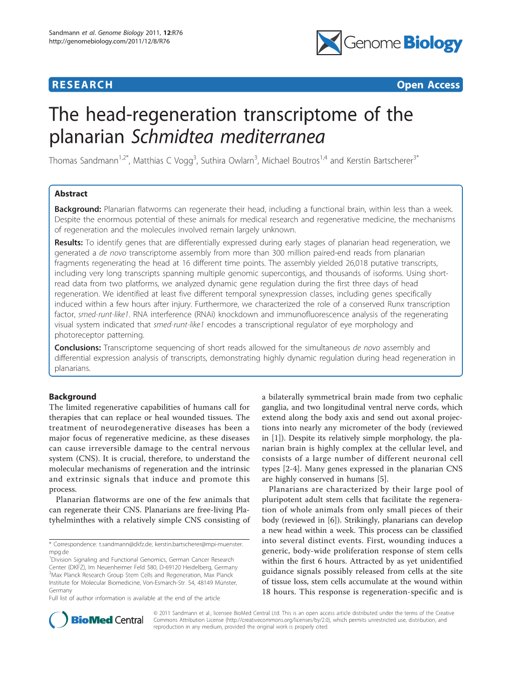 The Head-Regeneration Transcriptome of the Planarian Schmidtea
