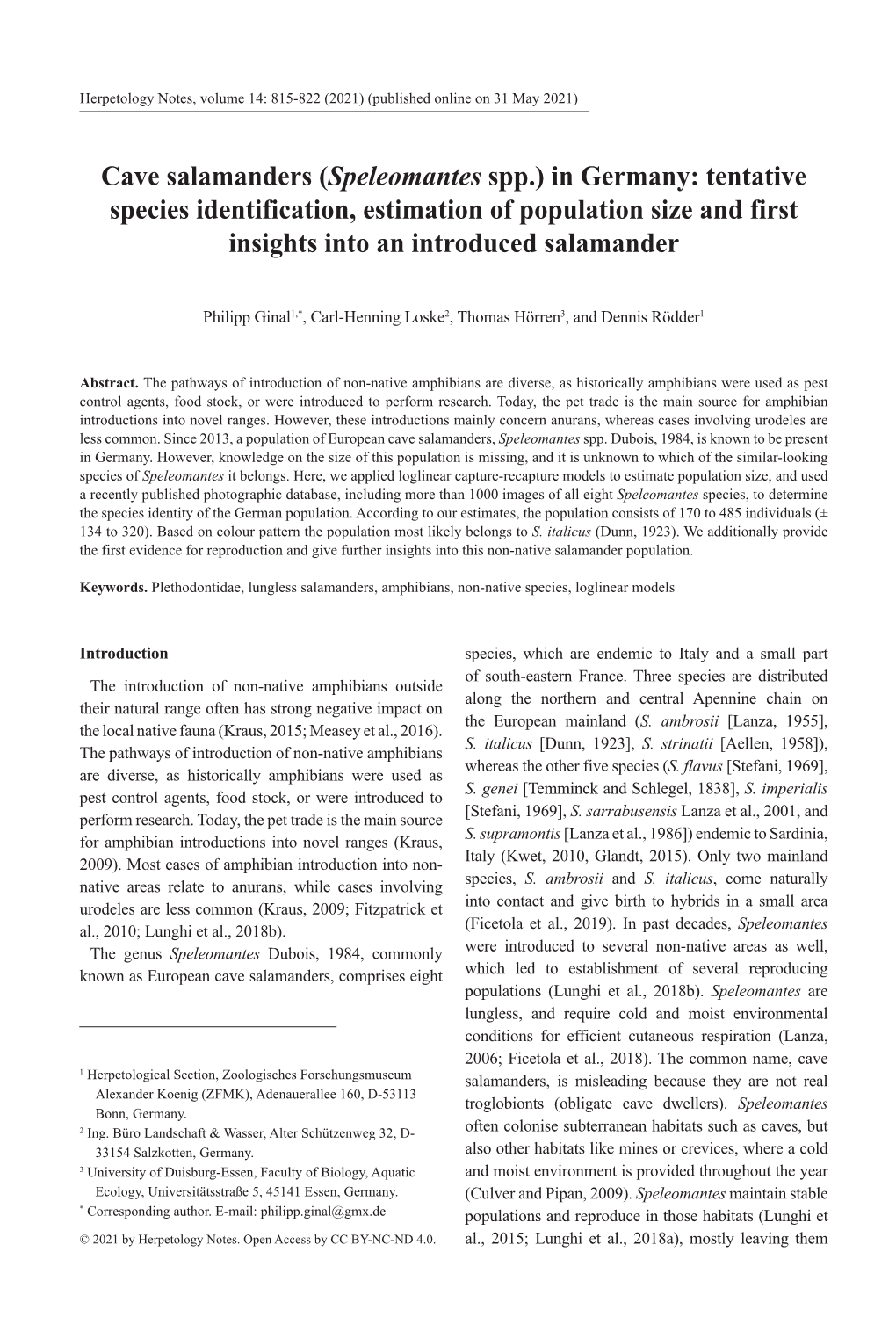 Cave Salamanders (Speleomantes Spp.) in Germany: Tentative Species Identification, Estimation of Population Size and First Insights Into an Introduced Salamander