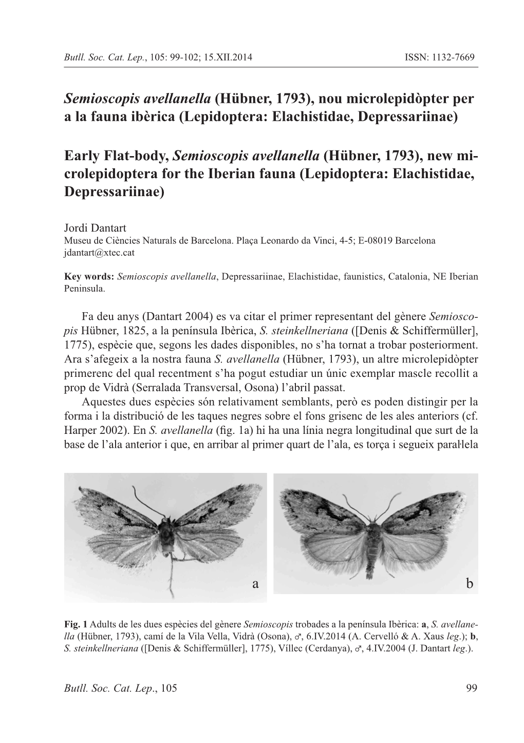 Semioscopis Avellanella (Hübner, 1793), Nou Microlepidòpter Per a La Fauna Ibèrica (Lepidoptera: Elachistidae, Depressariinae)