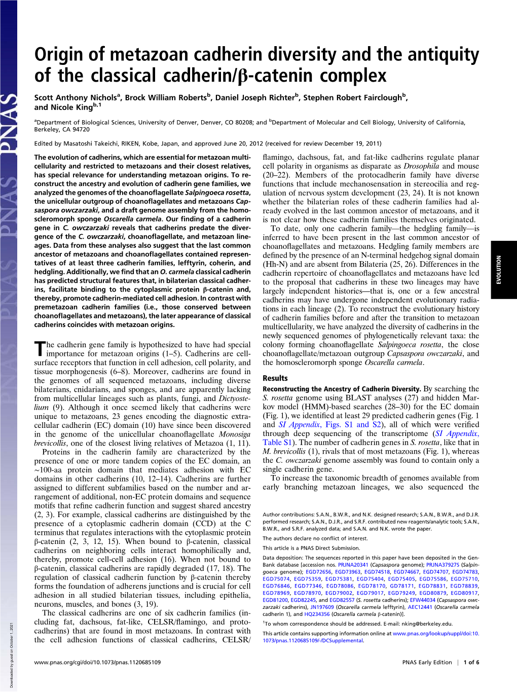 Origin of Metazoan Cadherin Diversity and the Antiquity of the Classical Cadherin/Β-Catenin Complex