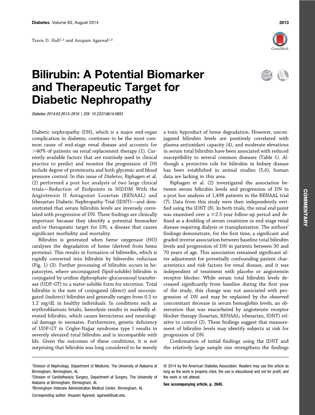 Bilirubin: a Potential Biomarker and Therapeutic Target for Diabetic Nephropathy