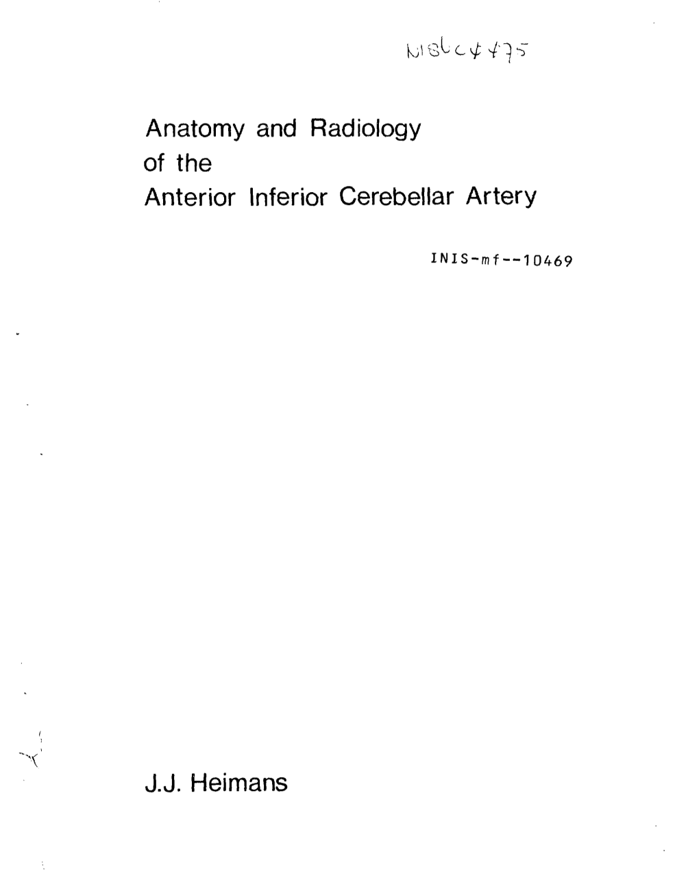 Anatomy and Radiology of the Anterior Inferior Cerebellar Artery