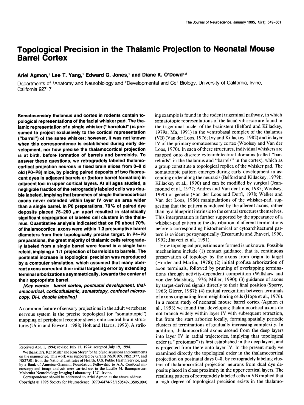 Topological Precision in the Thalamic Projection to Neonatal Mouse Barrel Cortex