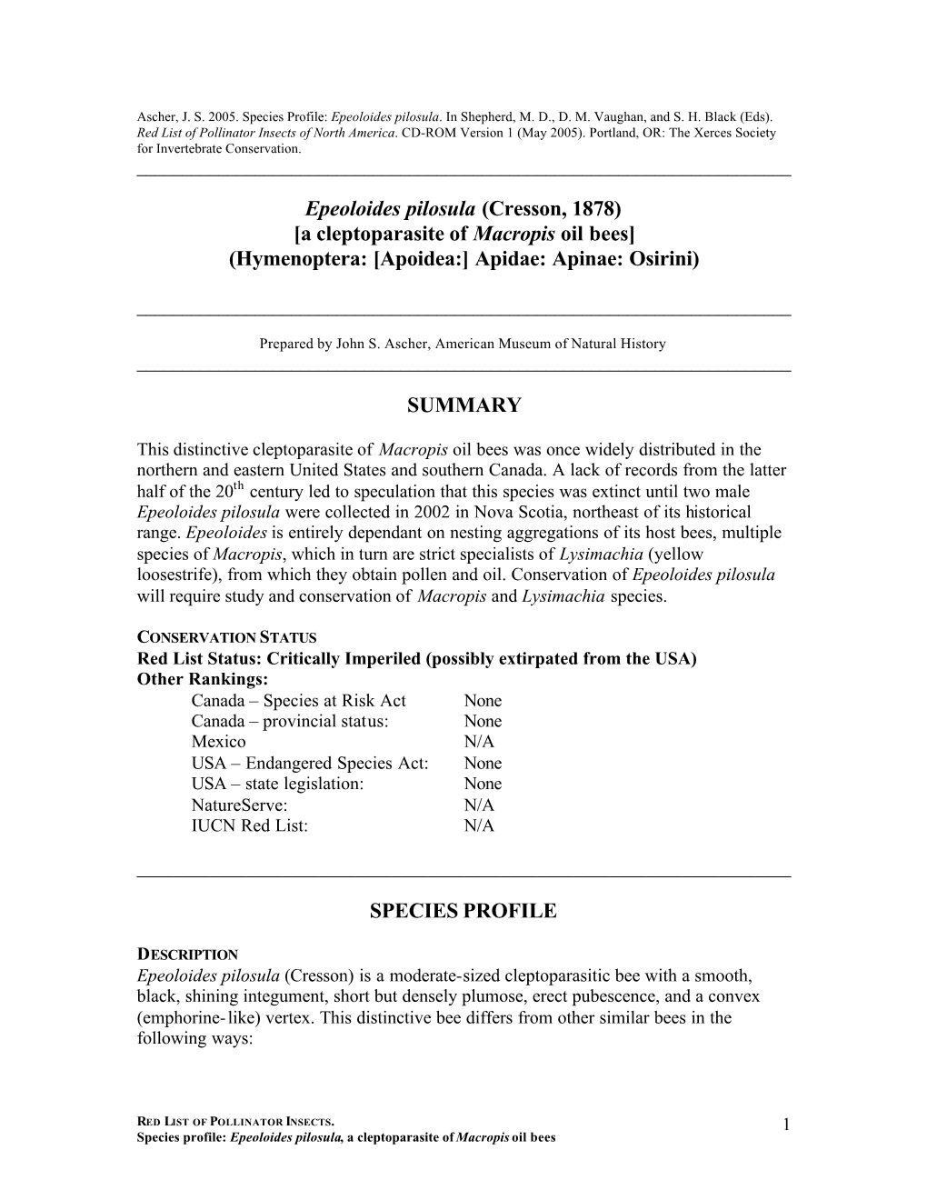 Profile for Epeoloides Pilosula