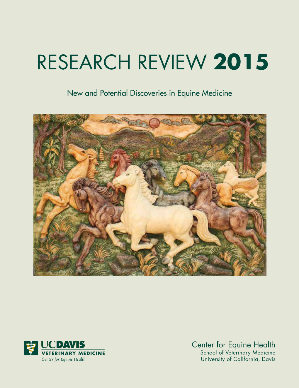 Research Review 2015