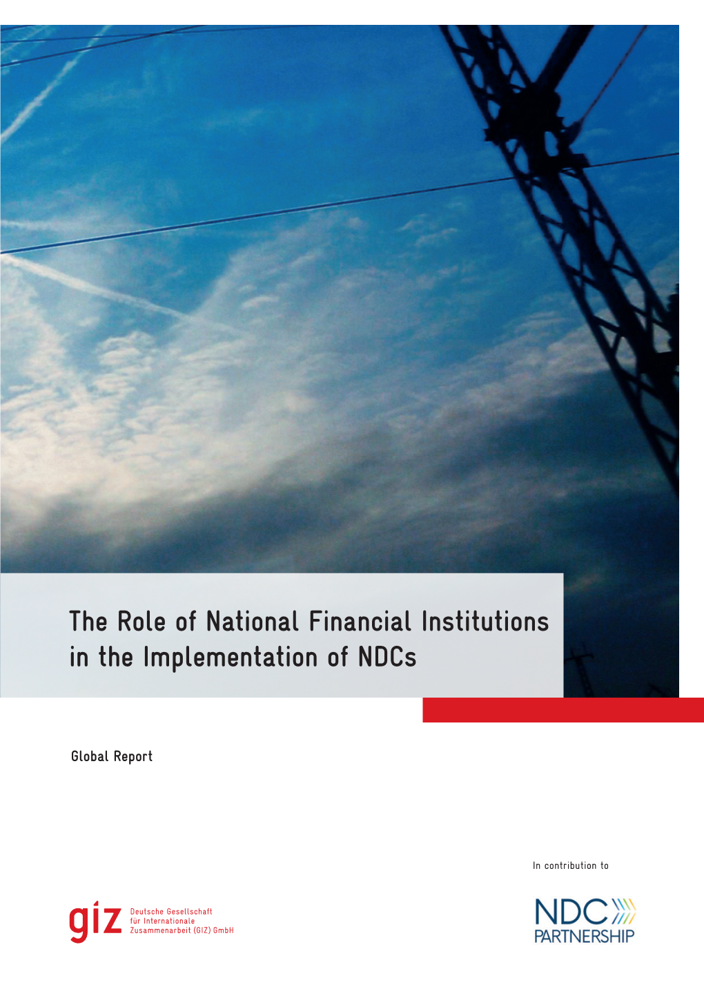 The Role of National Financial Institutions in the Implementation of Ndcs