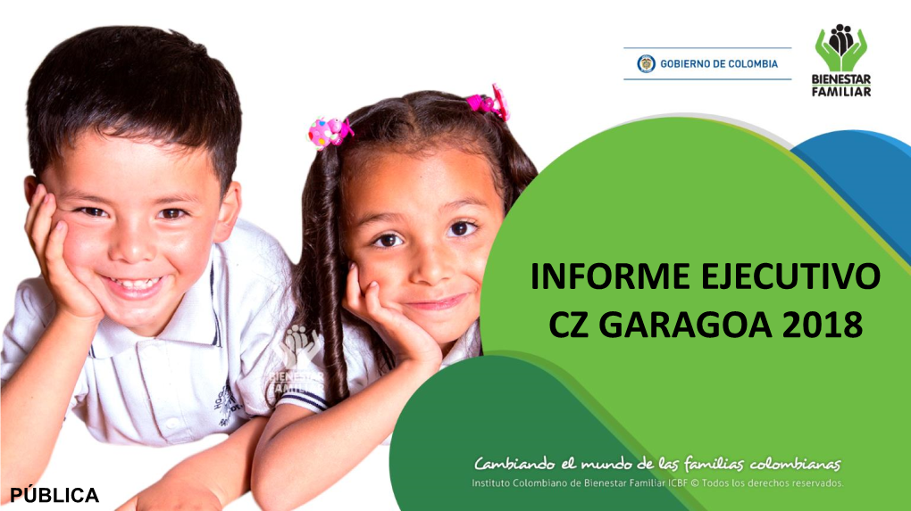 Informe Ejecutivo Cz Garagoa 2018