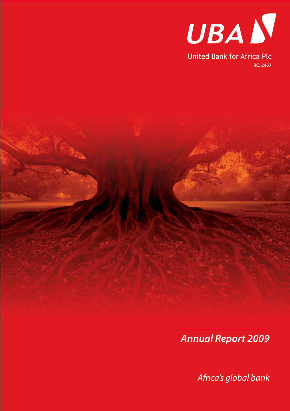 2009 Annual Report and Financial Statements