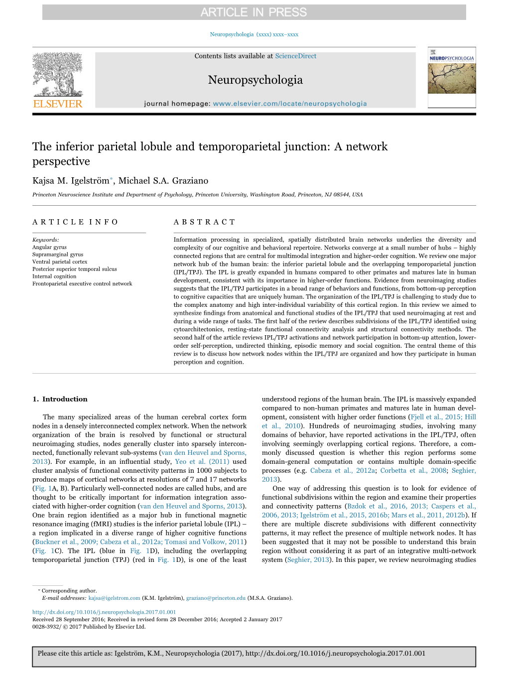 The Inferior Parietal Lobule and Temporoparietal Junction A