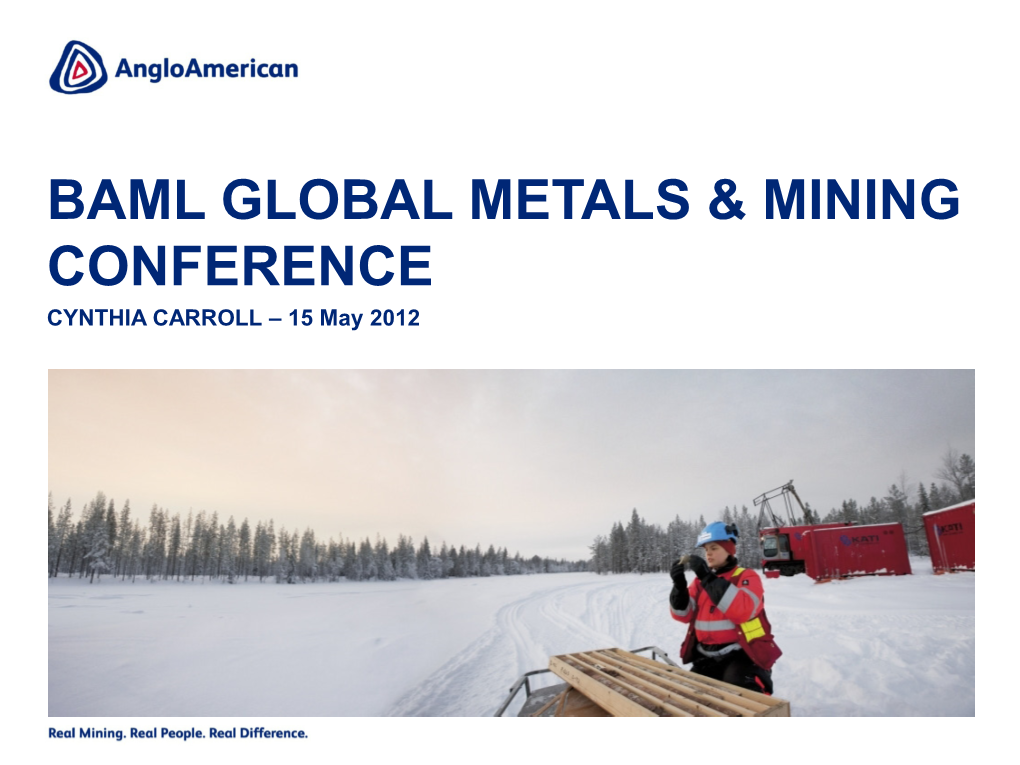 Baml Global Metals & Mining Conference