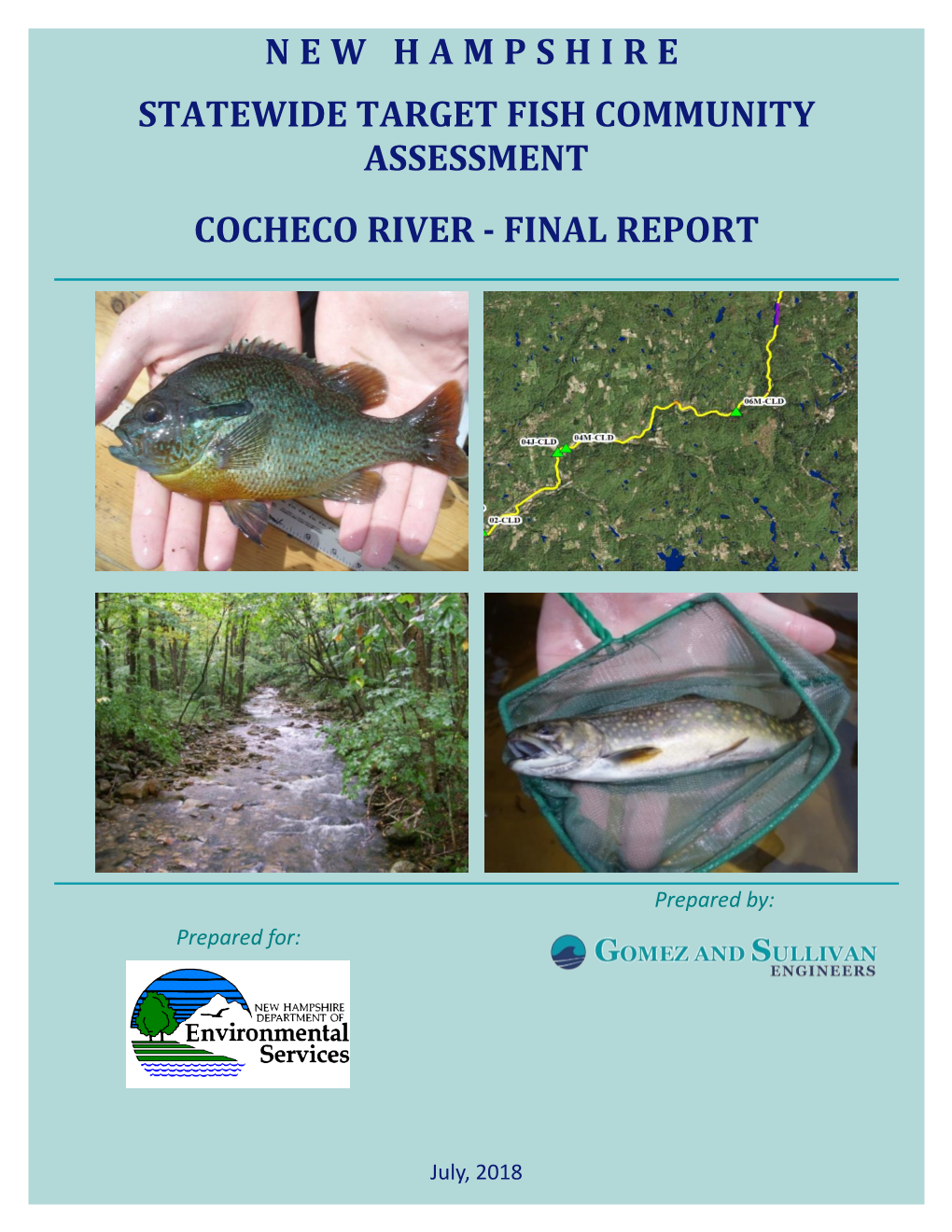 Cocheco River Final Report