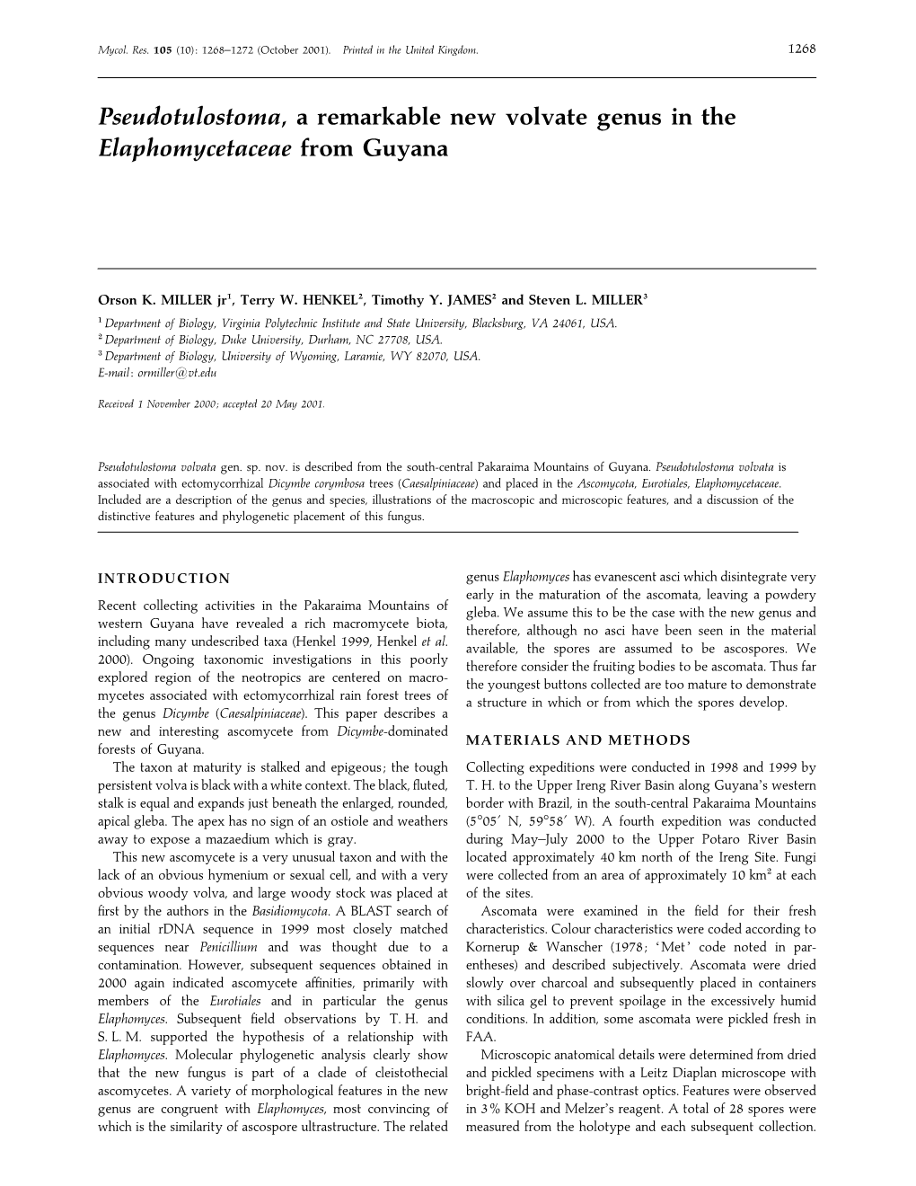 Pseudotulostoma, a New Genus in the Elaphomycetaceae from Guyana