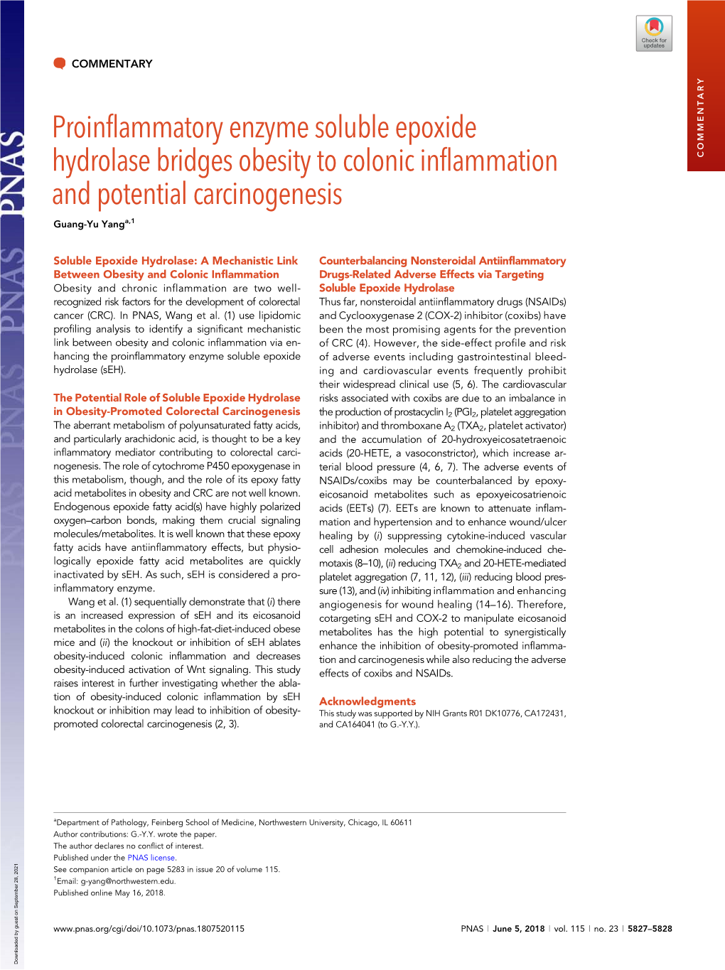 Proinflammatory Enzyme Soluble Epoxide Hydrolase Bridges Obesity to Colonic Inflammation COMMENTARY and Potential Carcinogenesis Guang-Yu Yanga,1