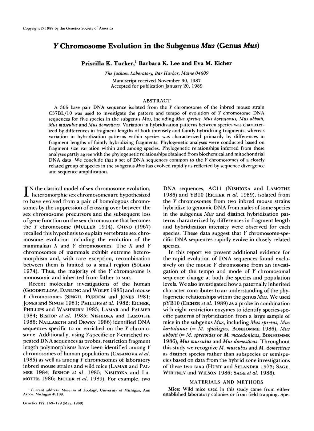 Y Chromosome Evolution in the Subgenus Mus (Genus Mus)