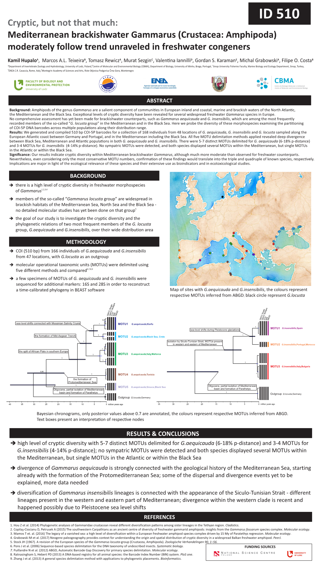 Mediterranean Brackishwater Gammarus (Crustacea: Amphipoda) Moderately Follow Trend Unraveled in Freshwater Congeners