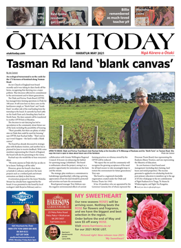 Tasman Rd Land 'Blank Canvas'