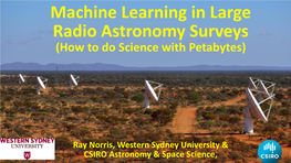 Machine Learning in Large Radio Astronomy Surveys (How to Do Science with Petabytes)