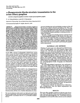 Avian Ciliary Ganglion (Nicotinic Antagonist/Ganglionic Nicotinic Receptor/Parasympathetic Ganglia) V