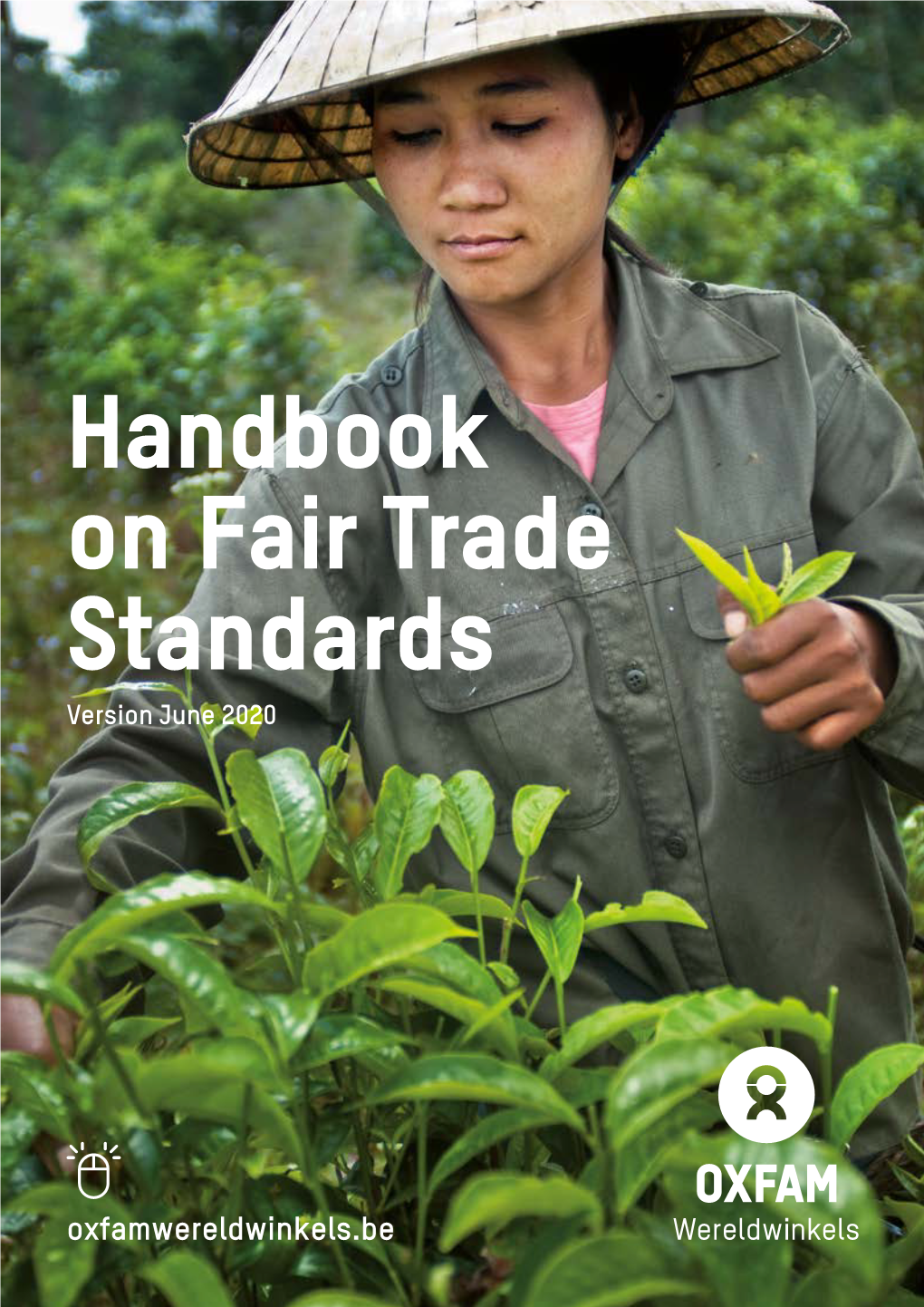 Handbook on Fair Trade Standards Version June 2020