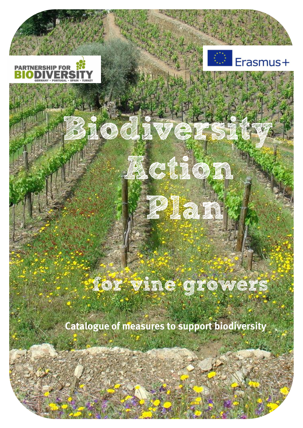 Biodiversity Action Plan (BAP)